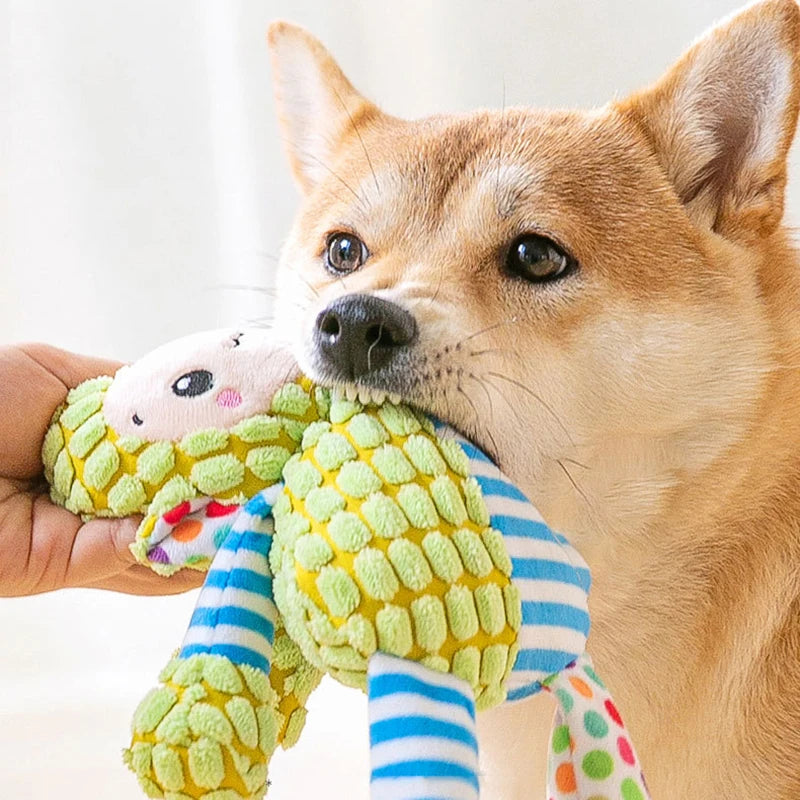 Plush Toy Bite Resistant Interactive Squeaky Pet Toy