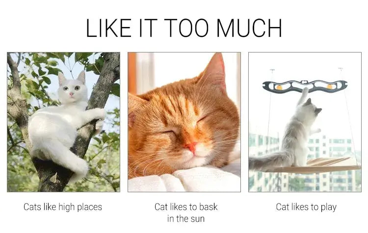 Foldable Cat Window Perch Hammock Bed