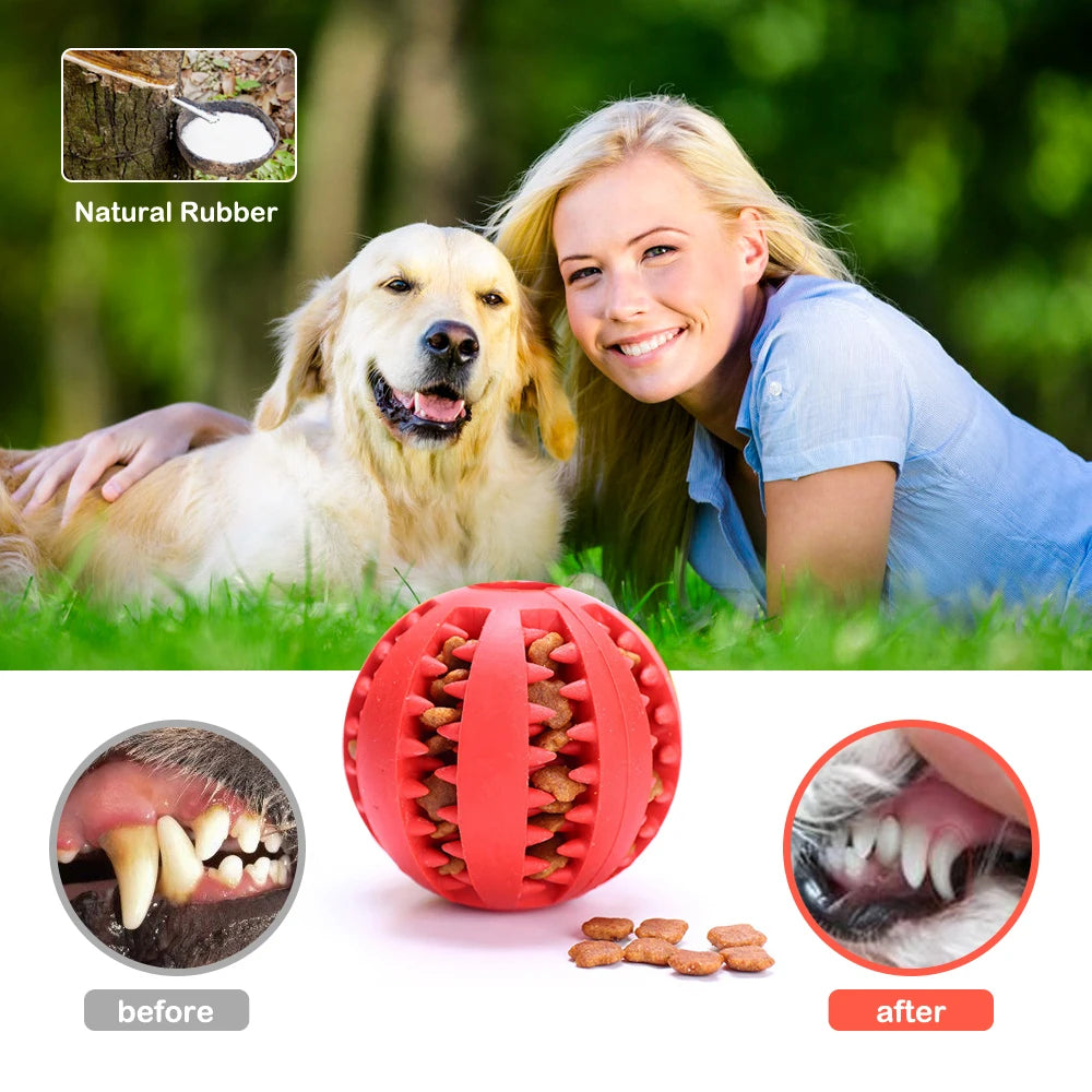 Interactive Dog Food Ball Pet Toy Chewing & Teeth Cleaning