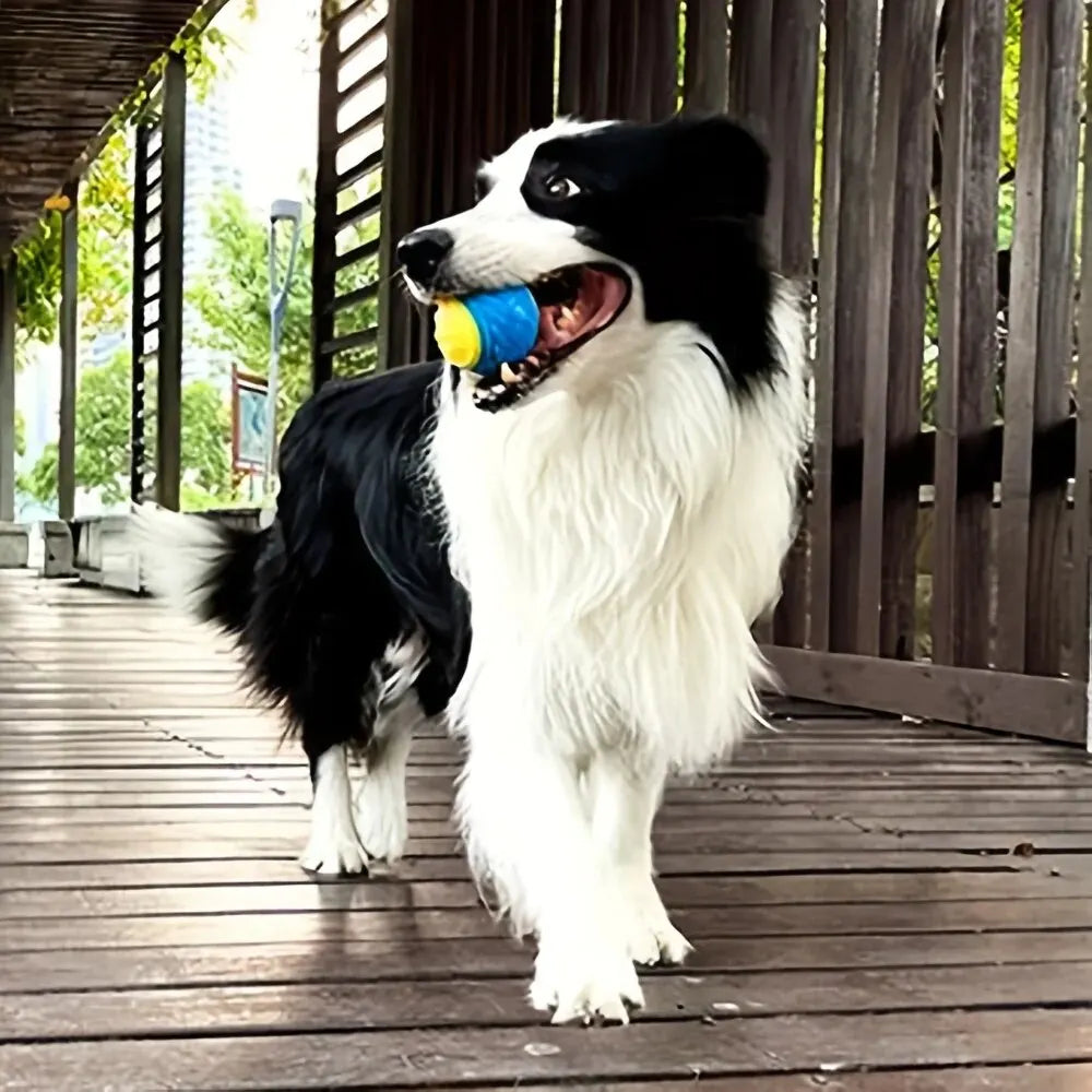 Interactive Durable Crew Ball Dog Toy