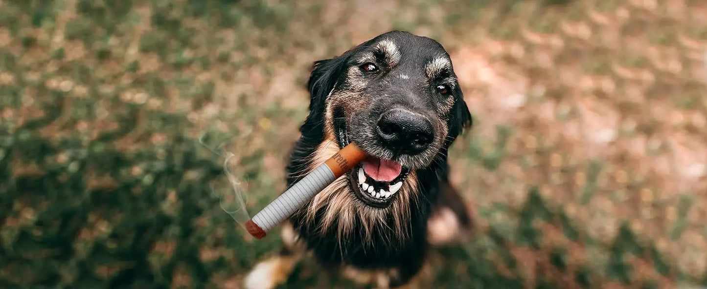Funny Plush Cigarette Dog Toy – Single or Full Pack Kit