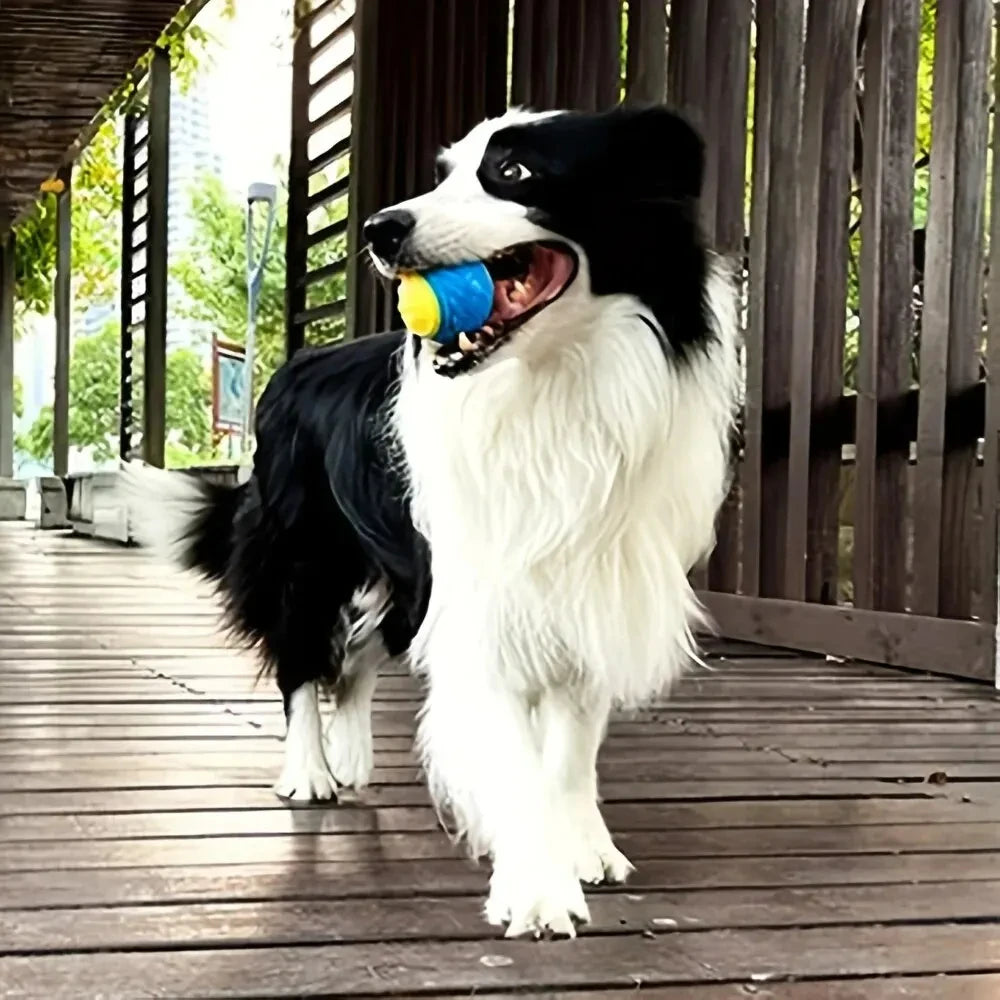 Interactive Durable Crew Ball Dog Toy