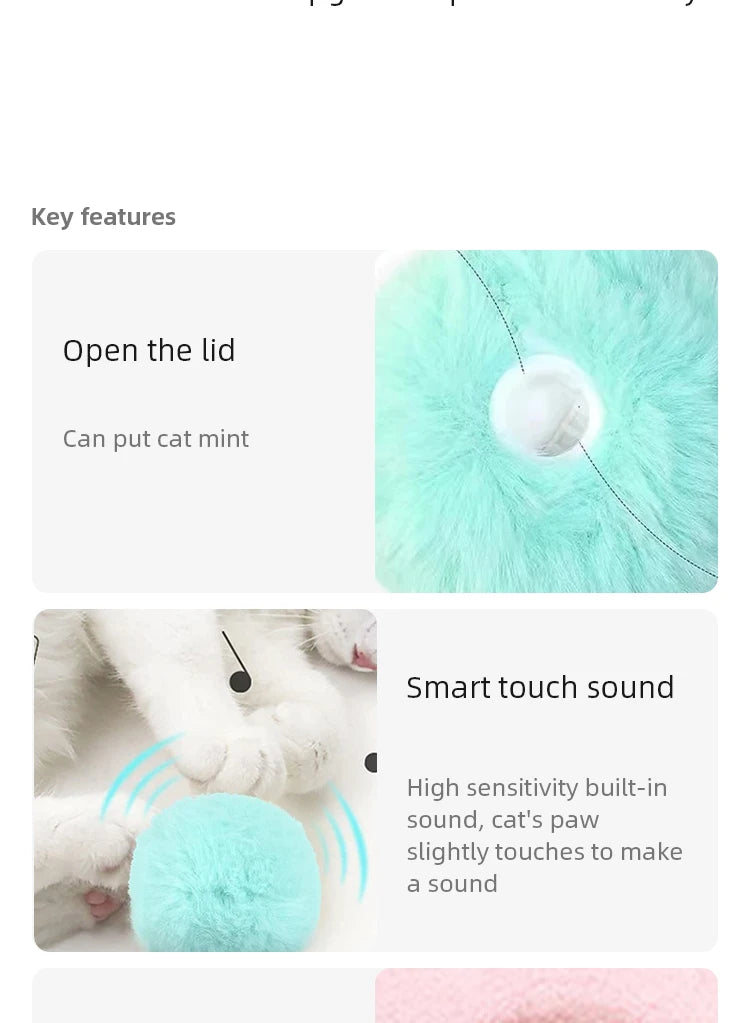 Smart Electric Cat Speak Catnip Toy