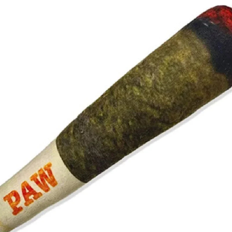 Interactive Squeaky Dog Toy – Cigar-Shaped Plush Chew Toy