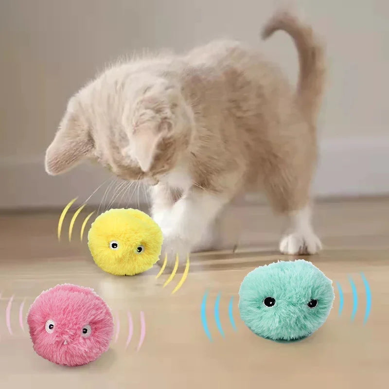 Smart Electric Cat Speak Catnip Toy