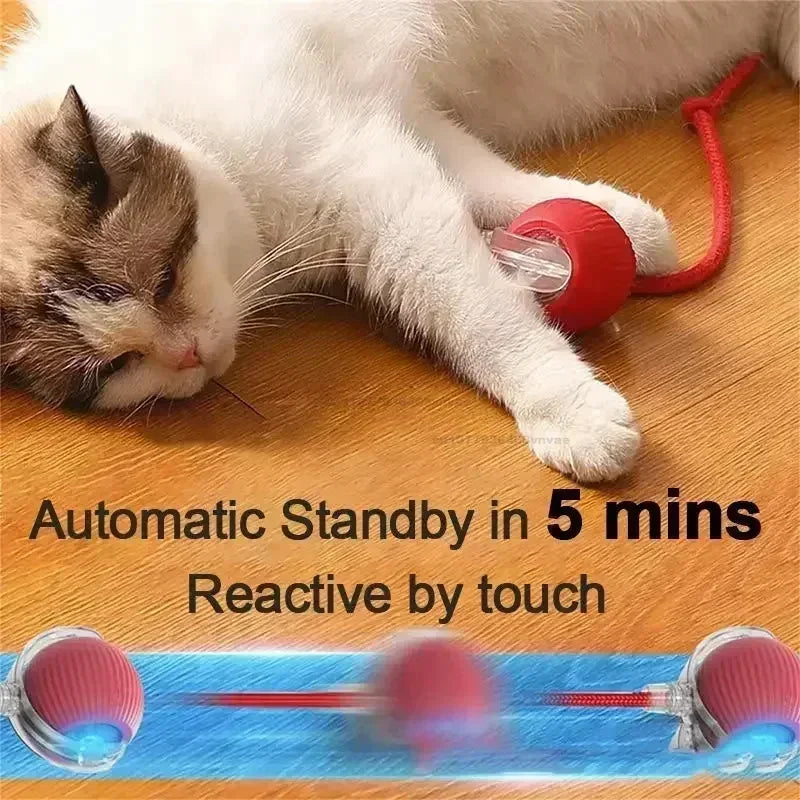 Interactive Automatic Rolling Cat Toy Ball