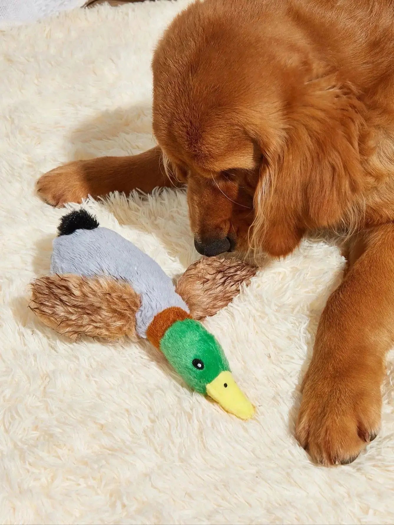 Wild Duck Style Plush Pet Dog Toy
