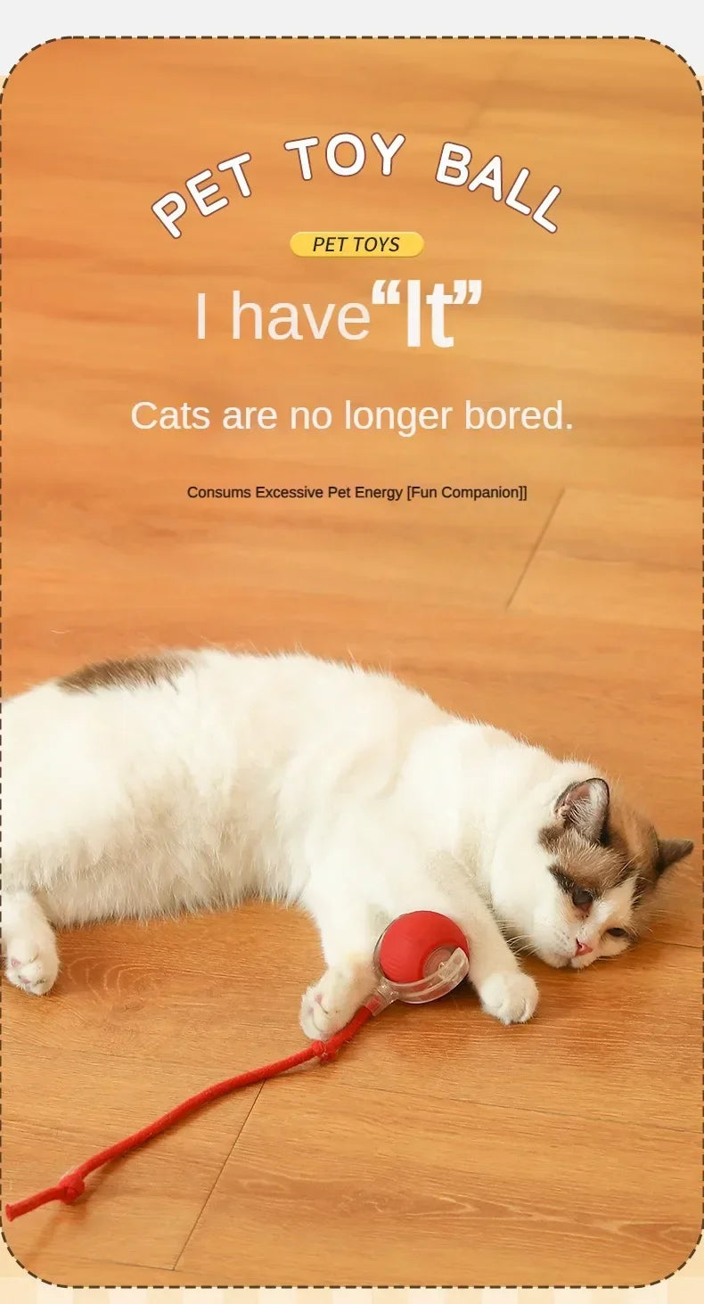 Interactive Automatic Rolling Cat Toy Ball