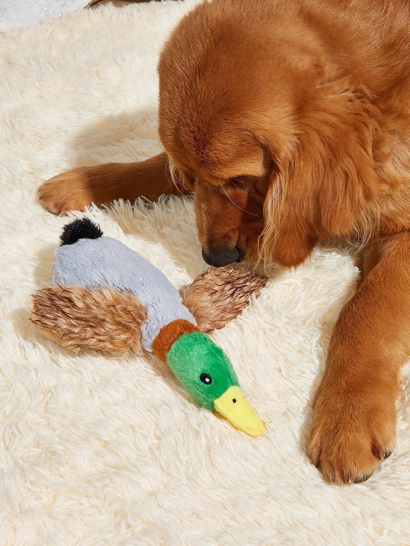 Wild Duck Style Plush Pet Dog Toy