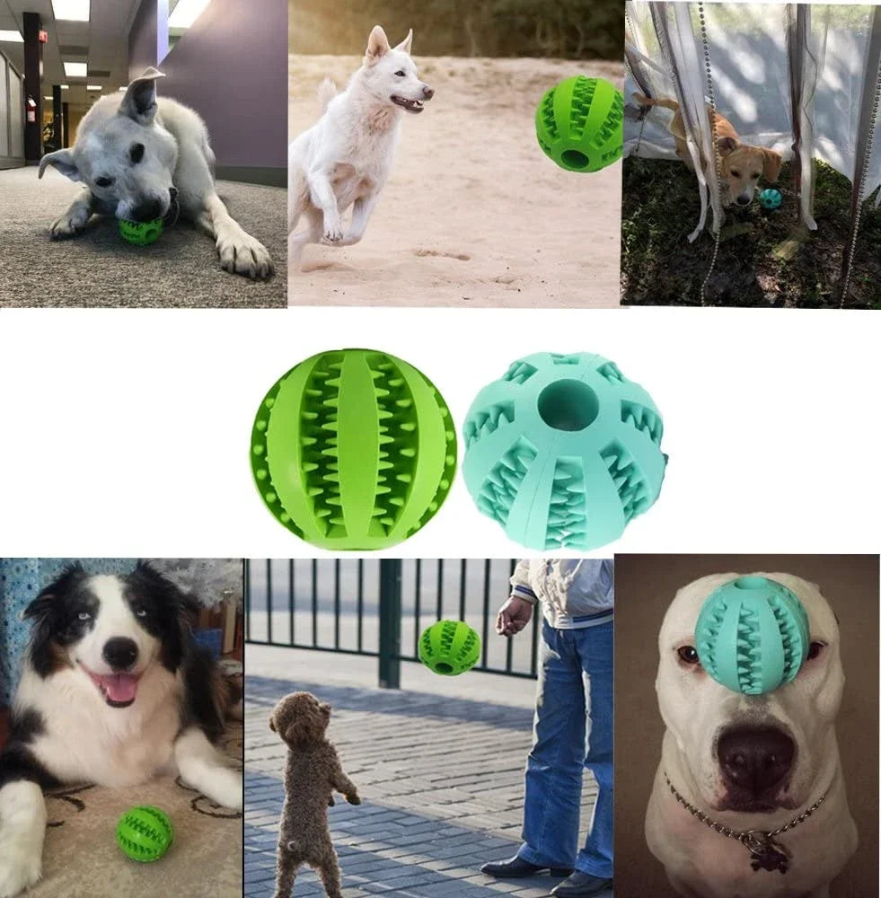 Interactive Dog Food Ball Pet Toy Chewing & Teeth Cleaning