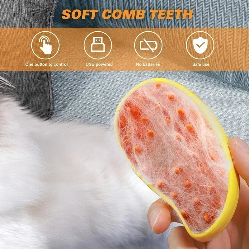 3 in 1 Electric Massage Spray Cat Hair Removal Brush