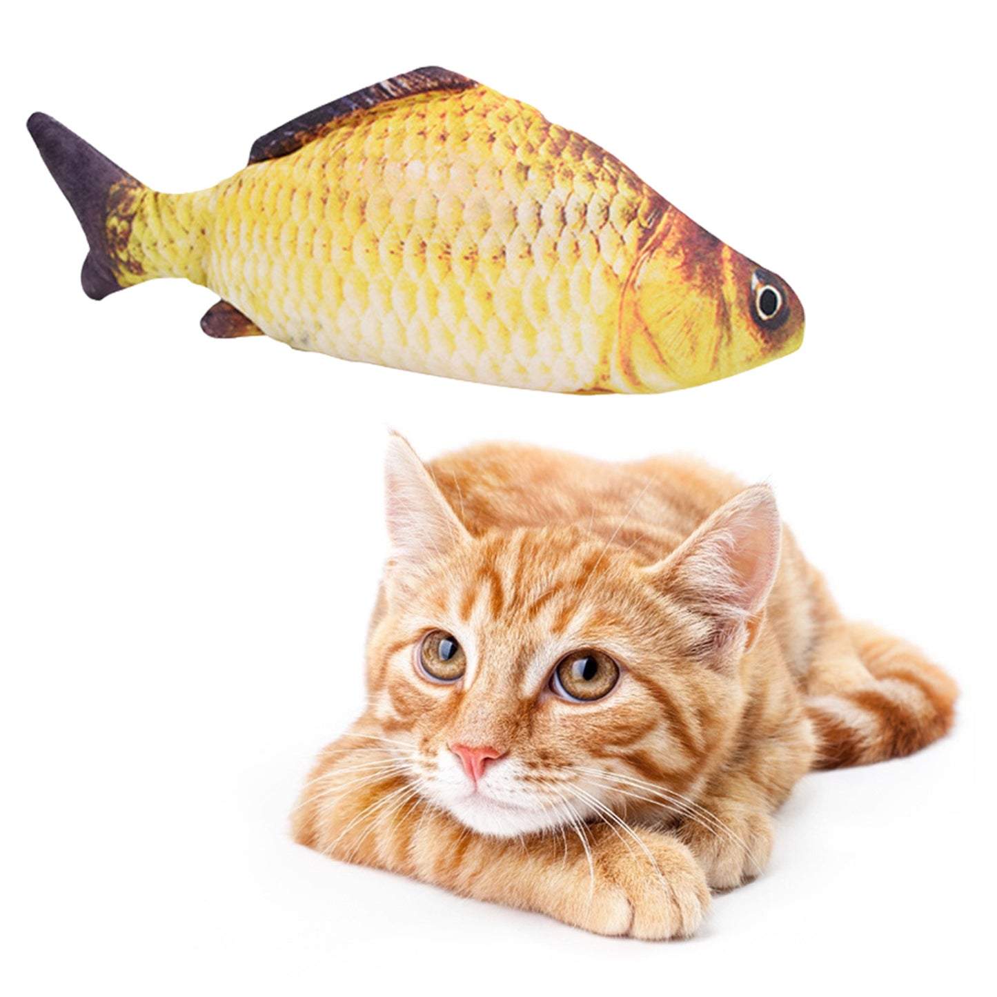 Interactive Floppy Fish Chewy Cat Toy