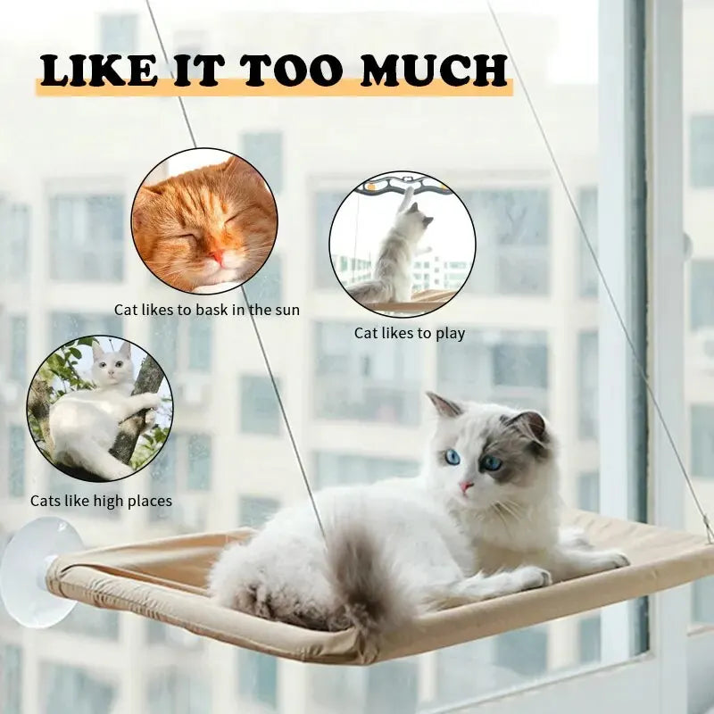 Foldable Cat Window Perch Hammock Bed
