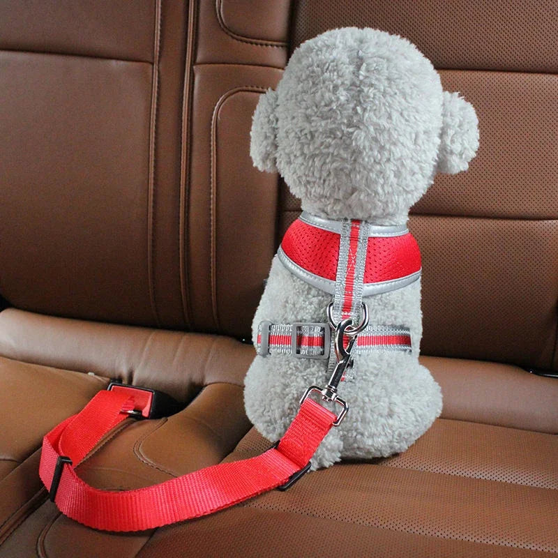 Cat & Dog Car Seat Belt Safety Leash