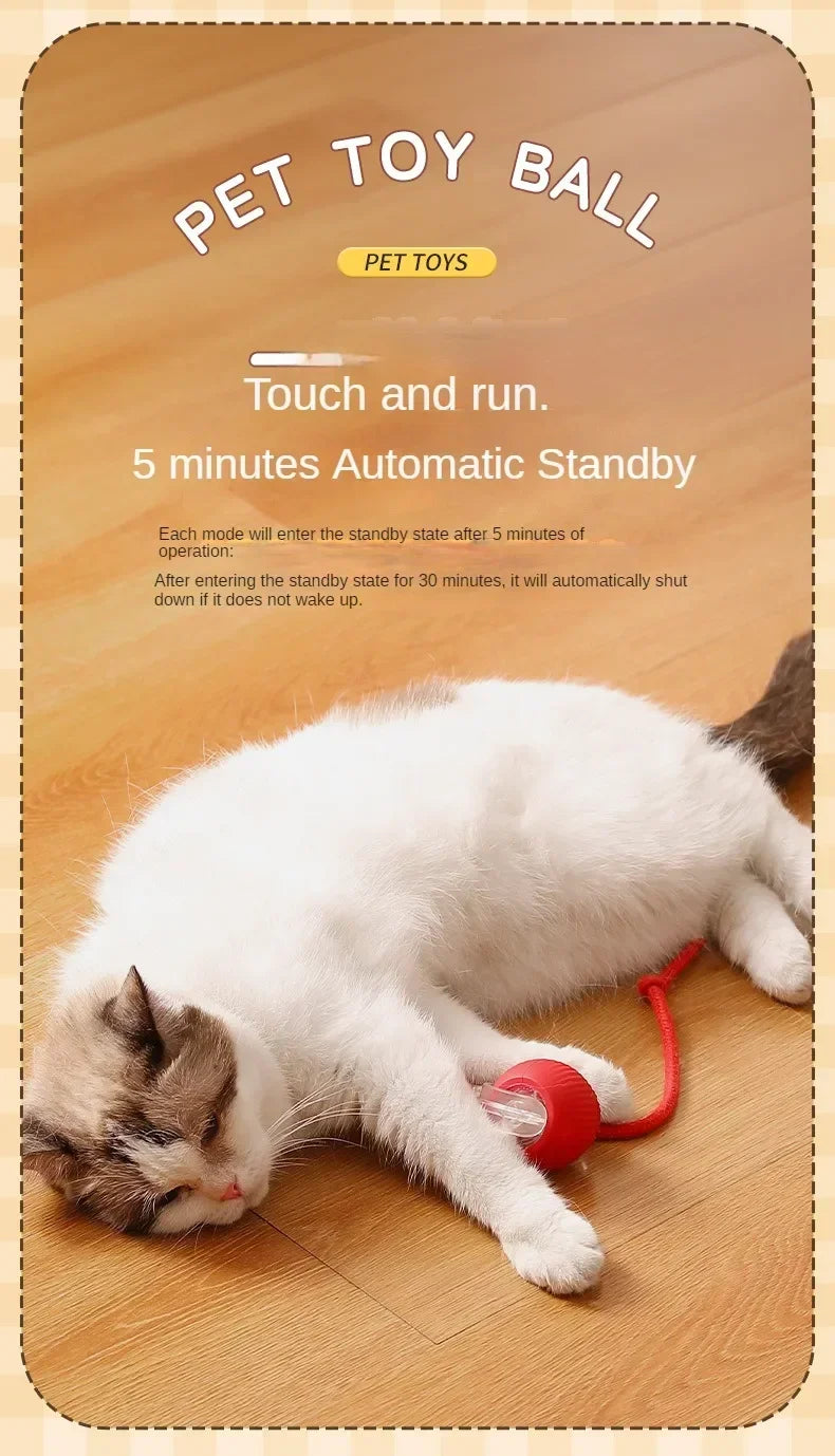 Interactive Automatic Rolling Cat Toy Ball