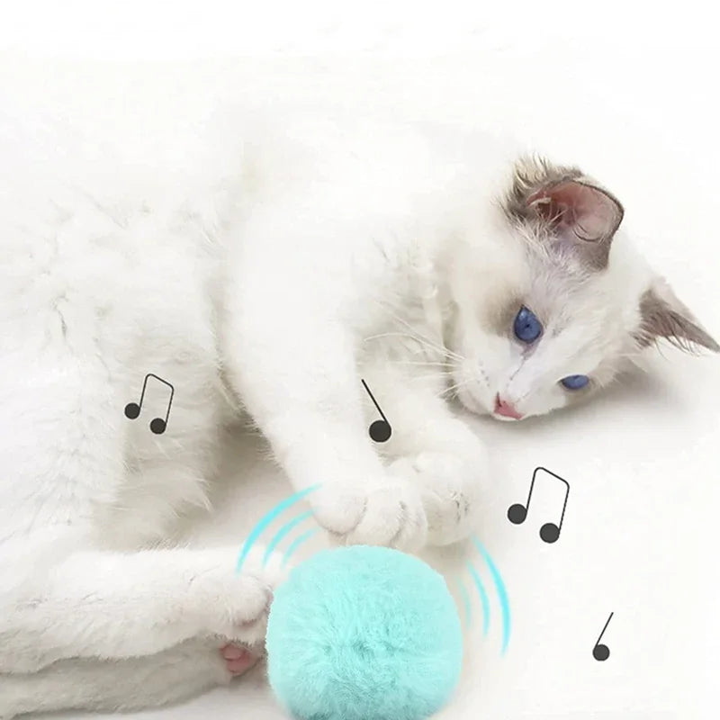 Smart Electric Cat Speak Catnip Toy