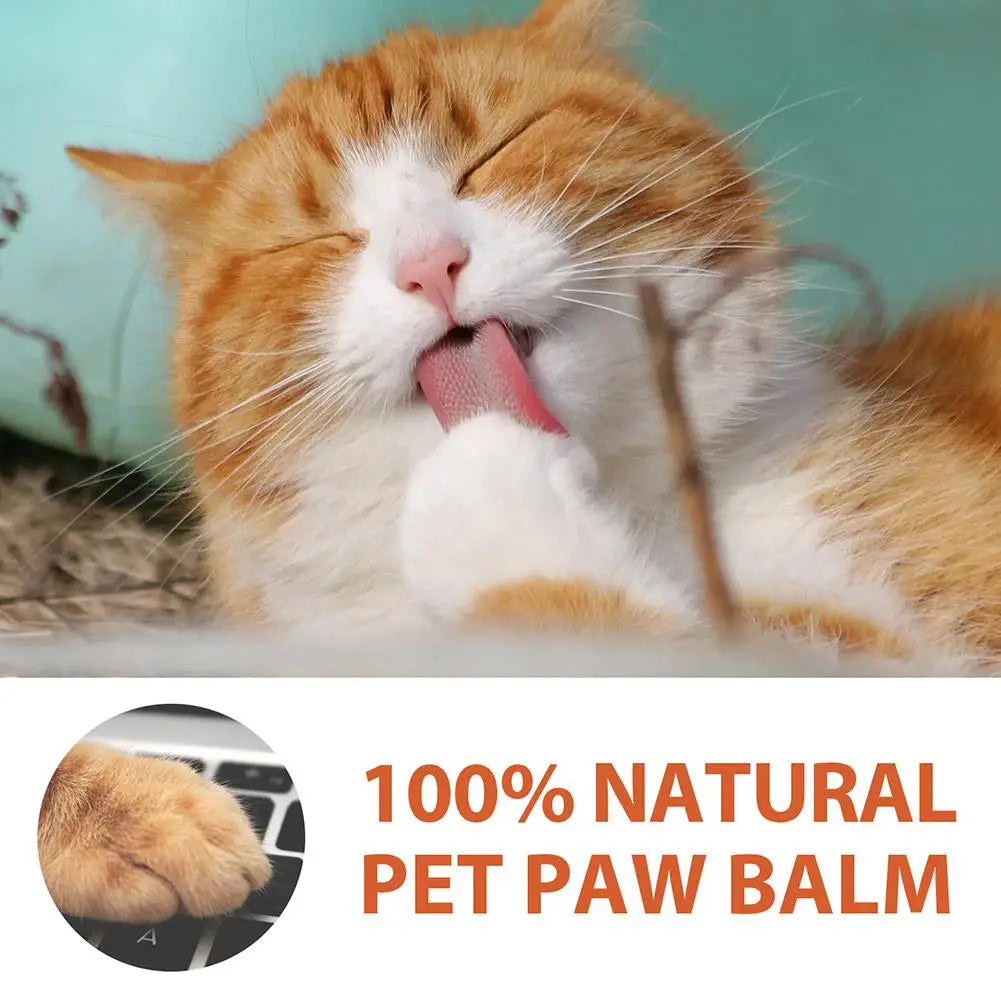 Moisturizing Cream Wax Cracking Care Protection