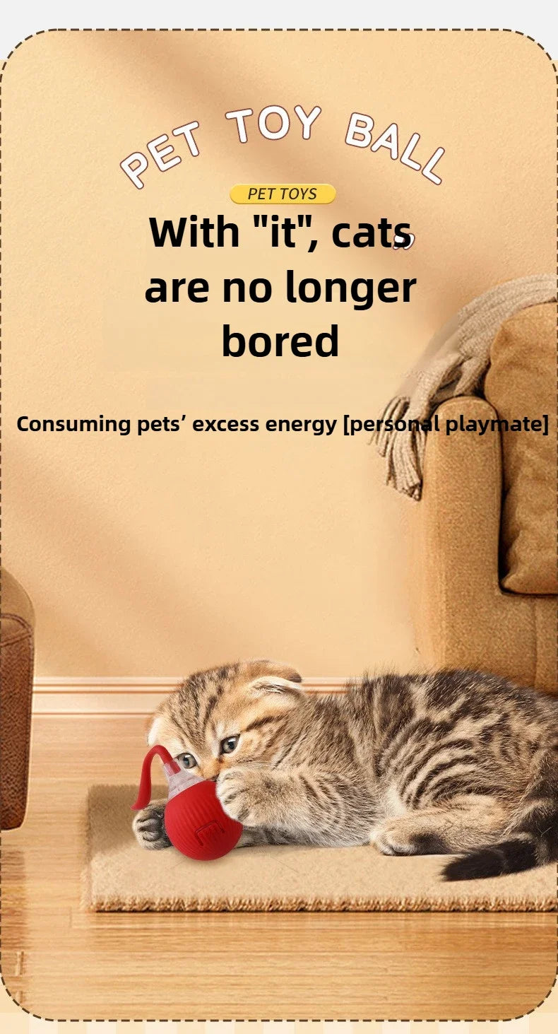 Interactive Automatic Rolling Cat Toy Ball