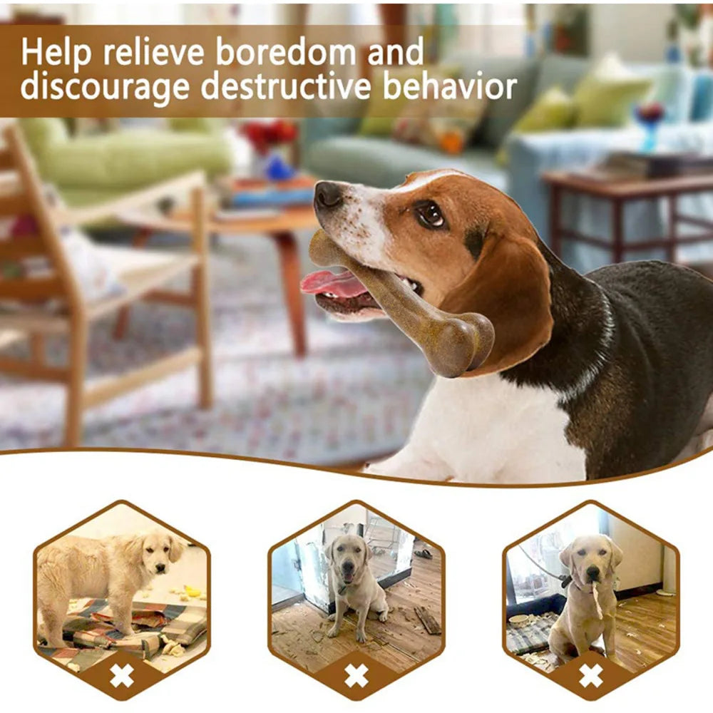 Indestructible Non-Toxic Dental Dog Chew Toy