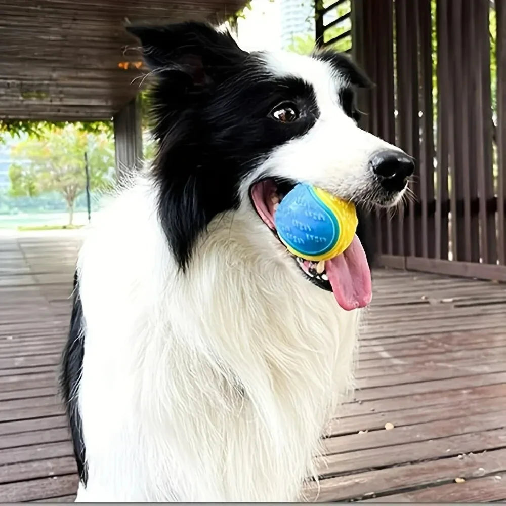Interactive Durable Crew Ball Dog Toy