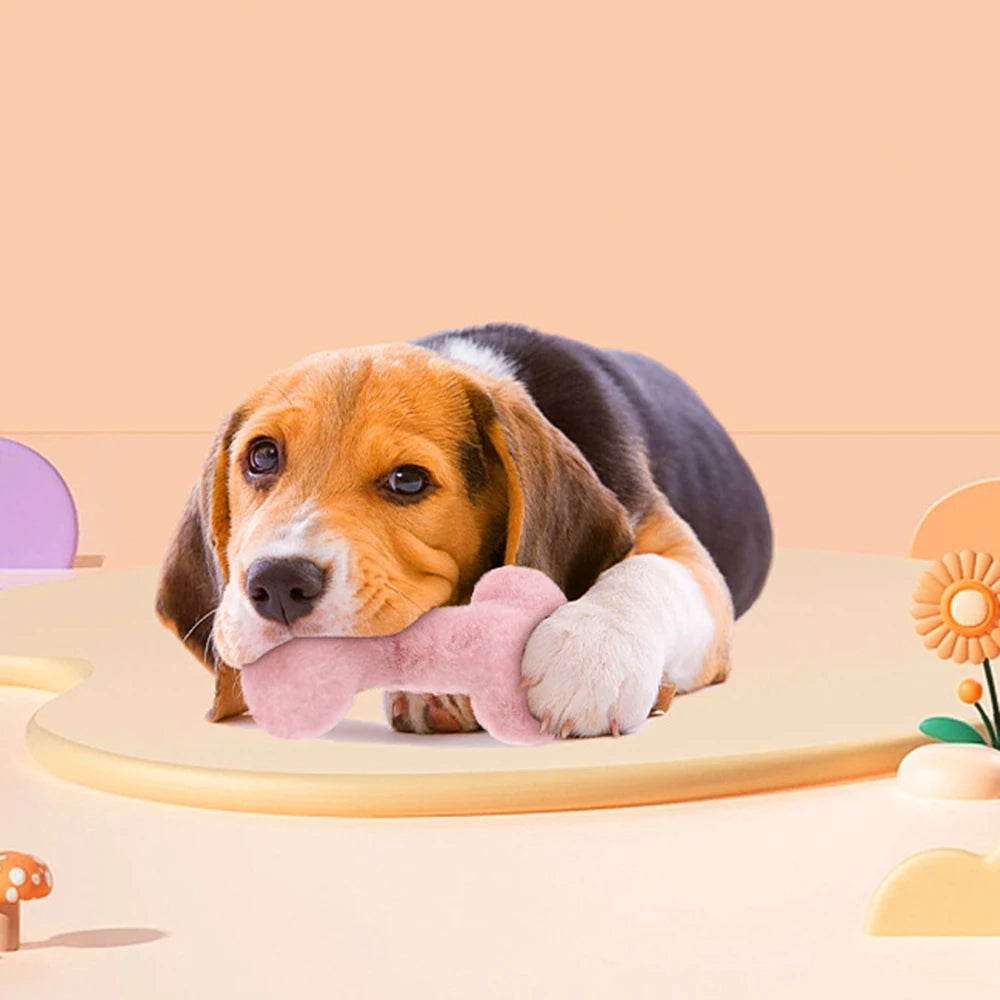 Interactive Plushy Heart & Bone Shaped Dog Toy
