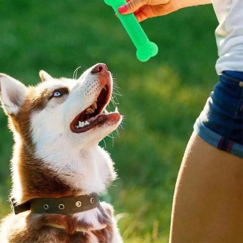 Rubber Dog Chew Toy Dental Toothbrush