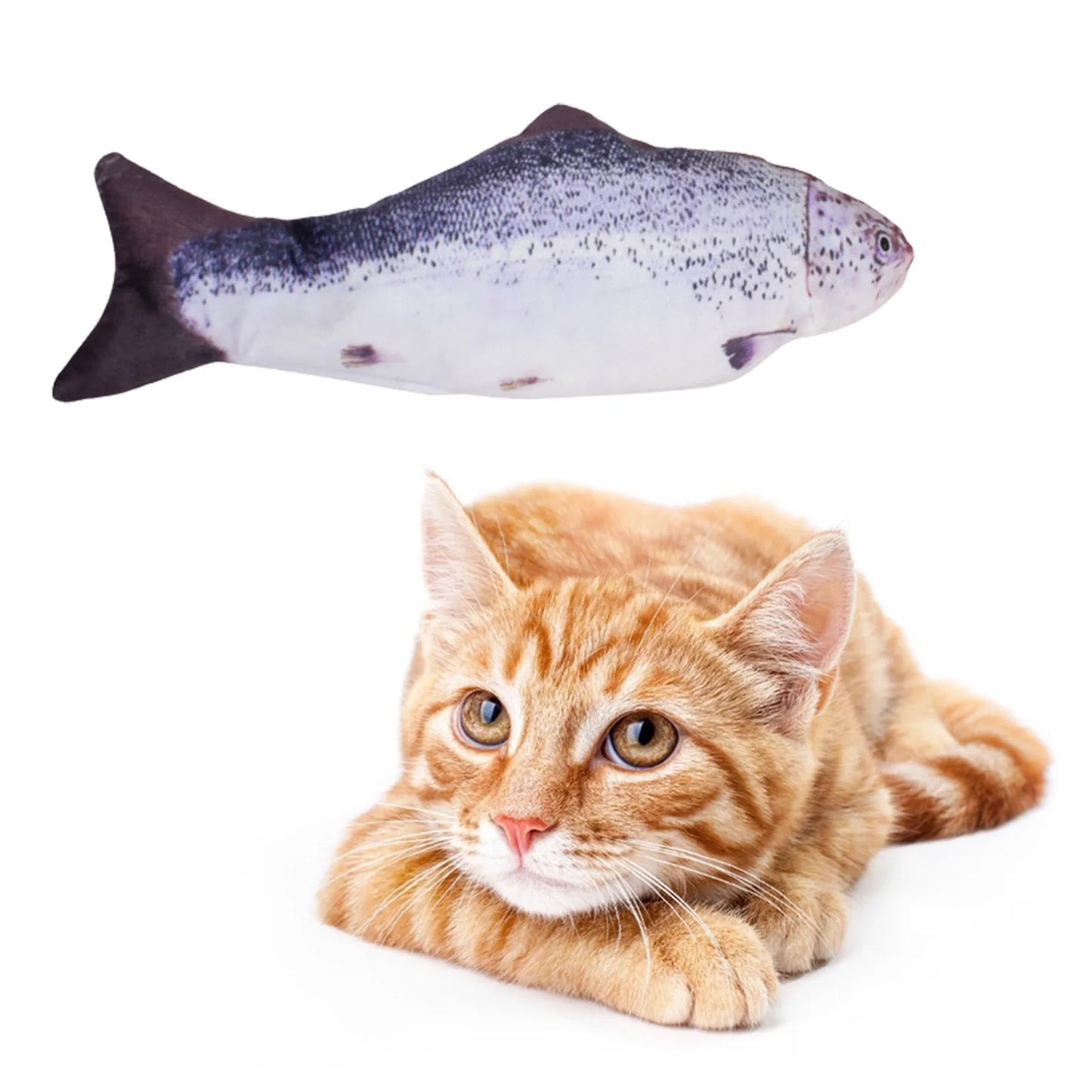 Interactive Floppy Fish Chewy Cat Toy