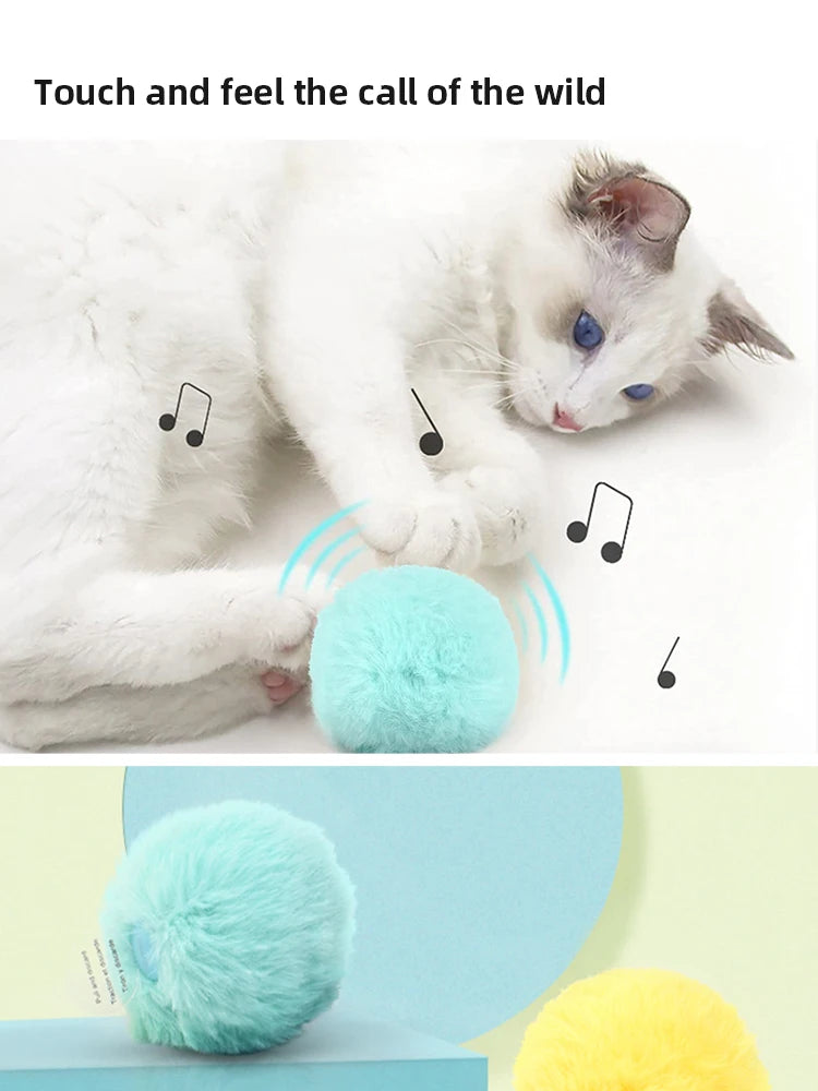 Smart Electric Cat Speak Catnip Toy