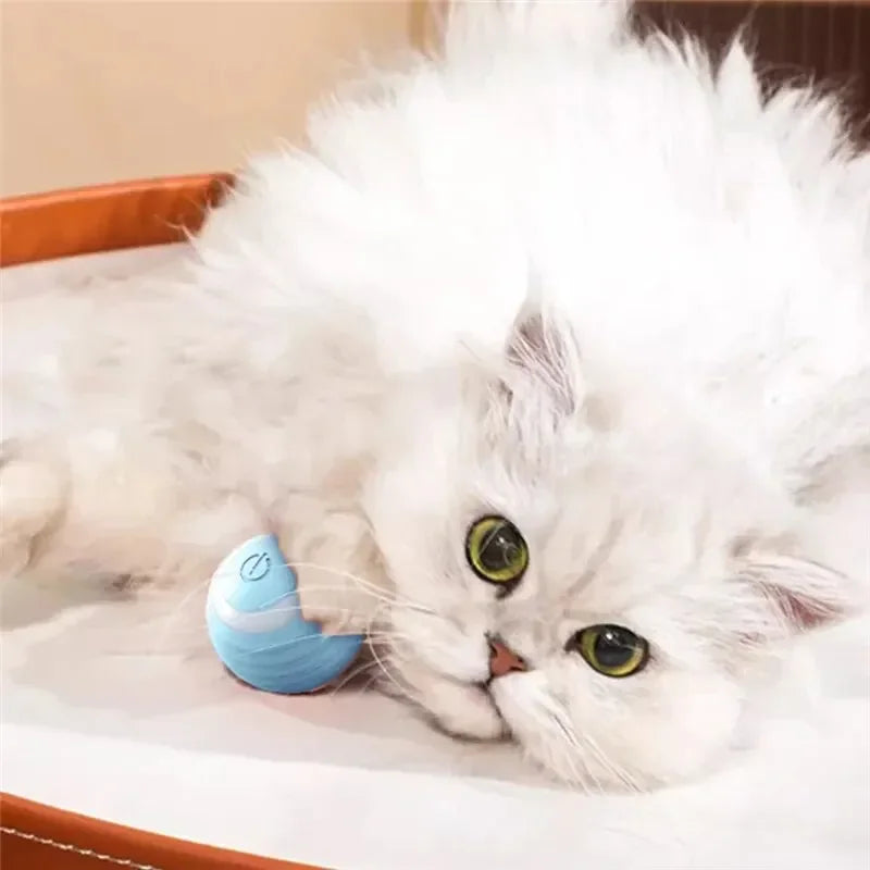 Interactive Electric Self-Moving Cat Toy Ball