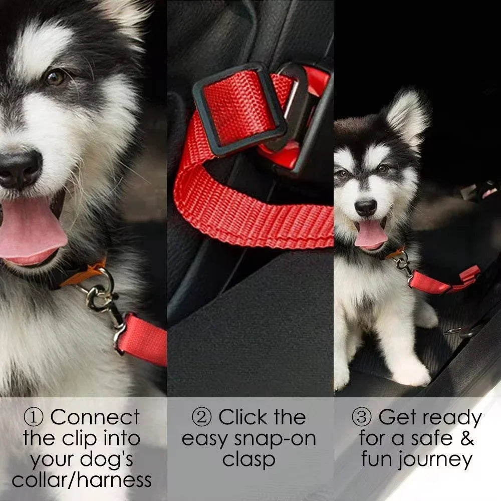 Cat & Dog Car Seat Belt Safety Leash