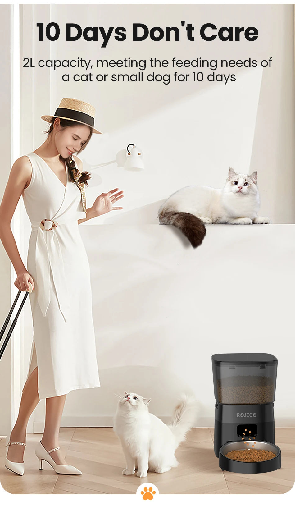 Automatic Cat Food Dispenser