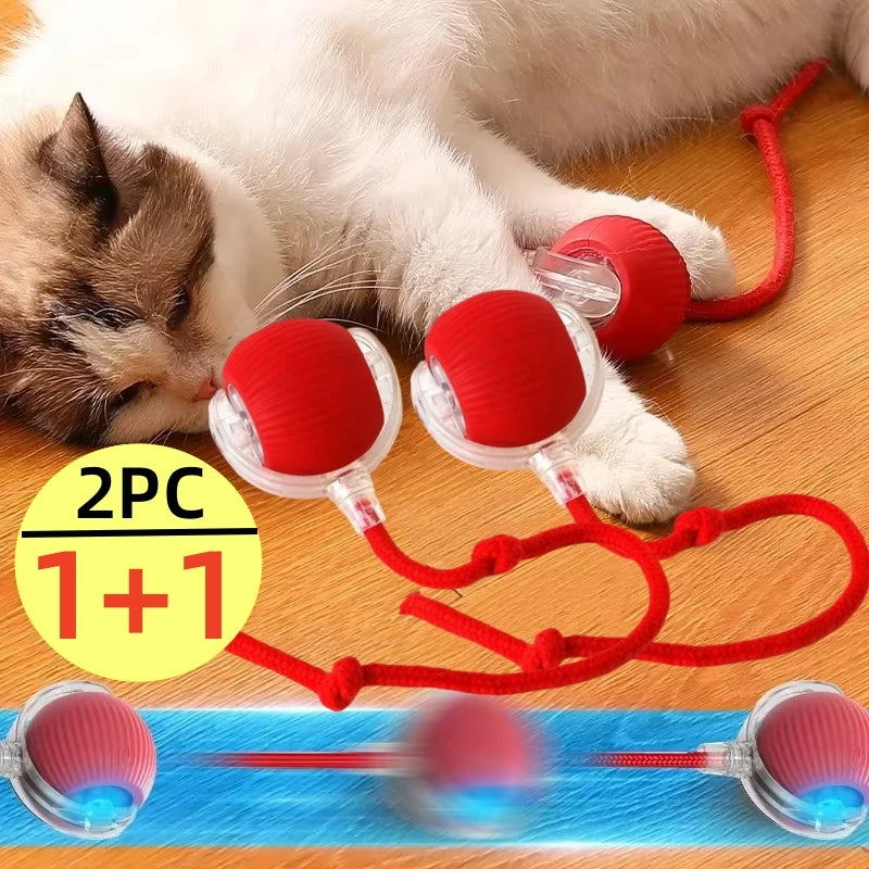 Smart Kitty Play Ball