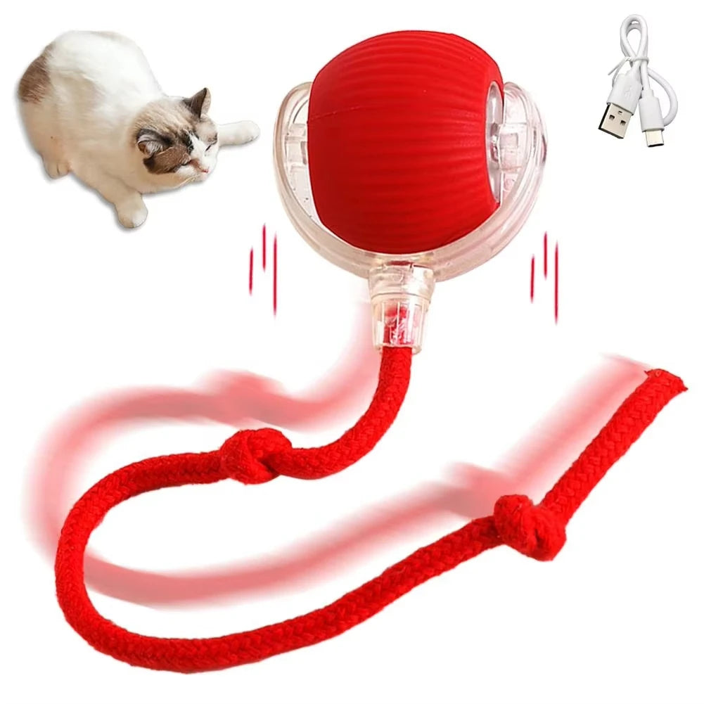 Smart Kitty Play Ball