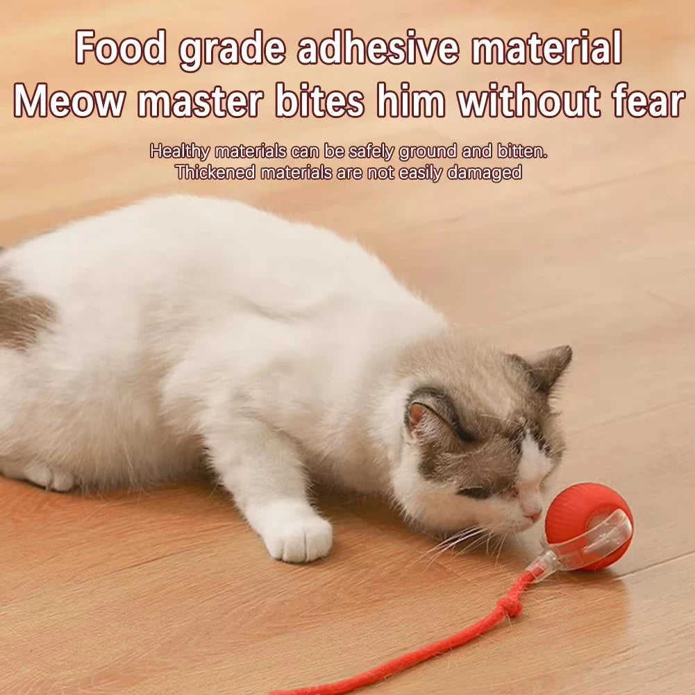 Smart Kitty Play Ball