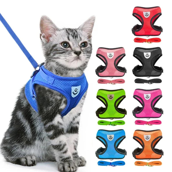 Product placeholder