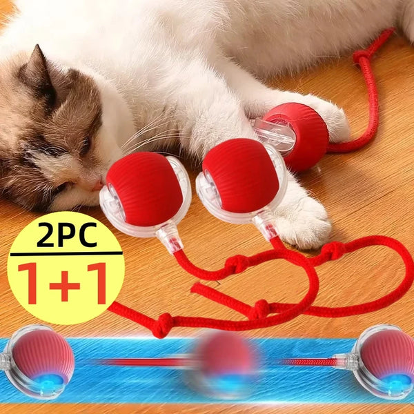 Smart Kitty Play Ball